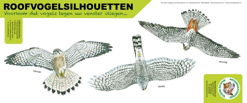 Roofvogelsilhouet sperwer, boomvalk, torenvalk
