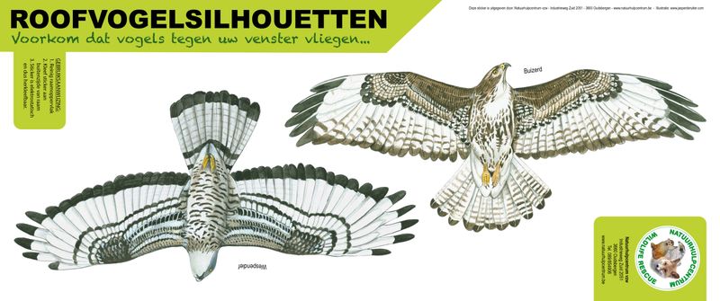 Roofvogelsilhouet Buizerd-wespendief