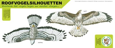 Roofvogelsilhouet Buizerd-wespendief