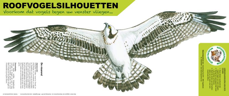 Roofvogelsilhouet Visarend