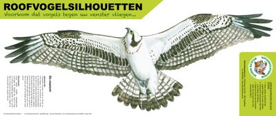 Roofvogelsilhouet Visarend
