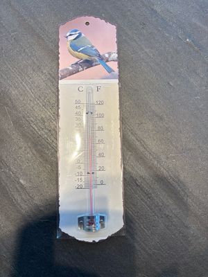Thermometer metaal