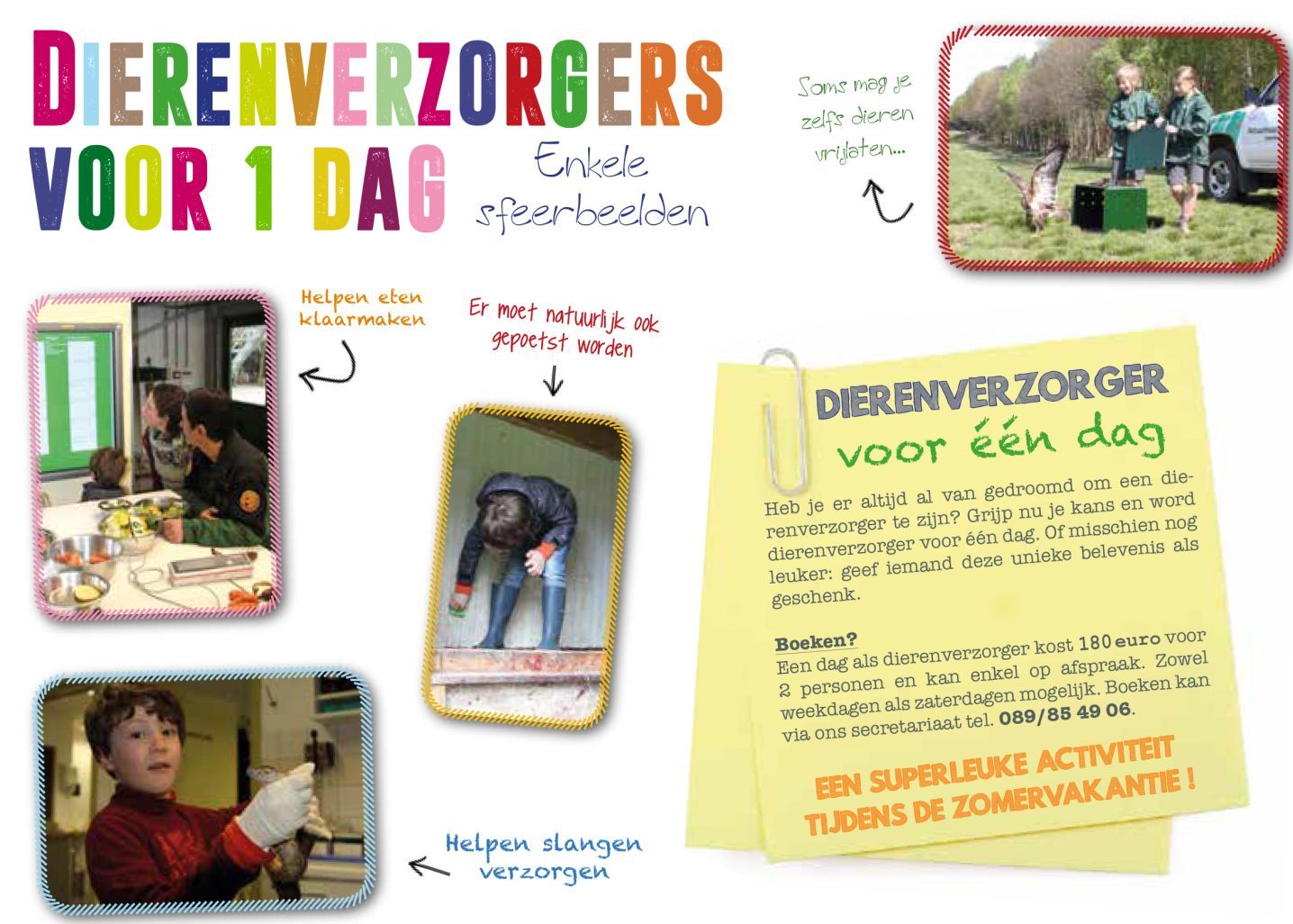 Dagje meelopen dierentuin als dierenverzorger