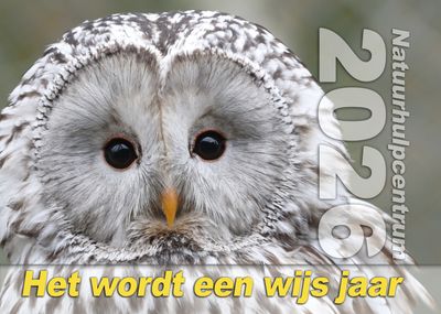 Jaarkalender NHC 2026