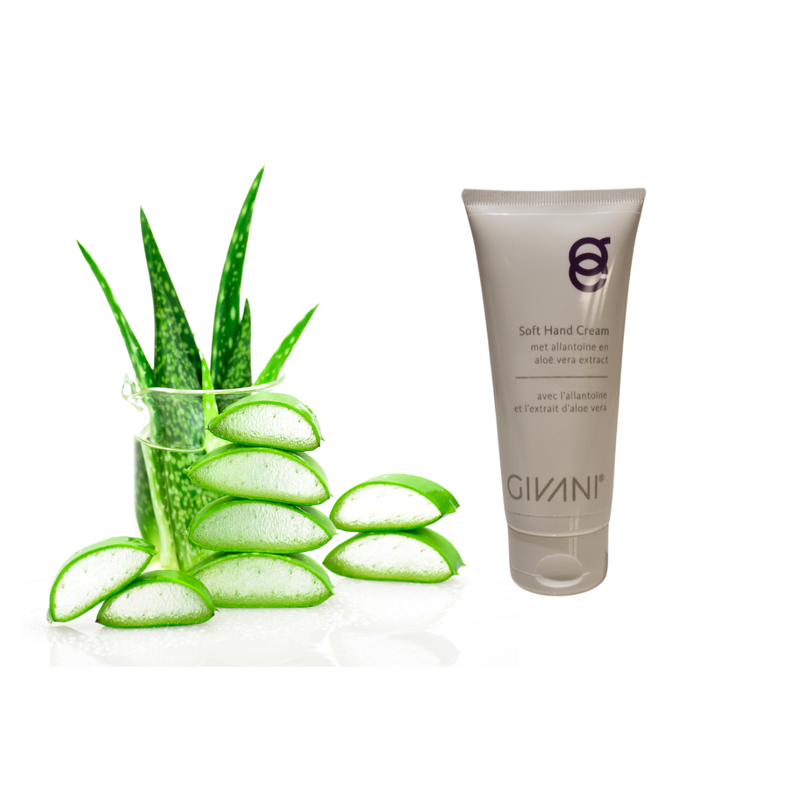 Givani Soft Hand Cream 100 ml