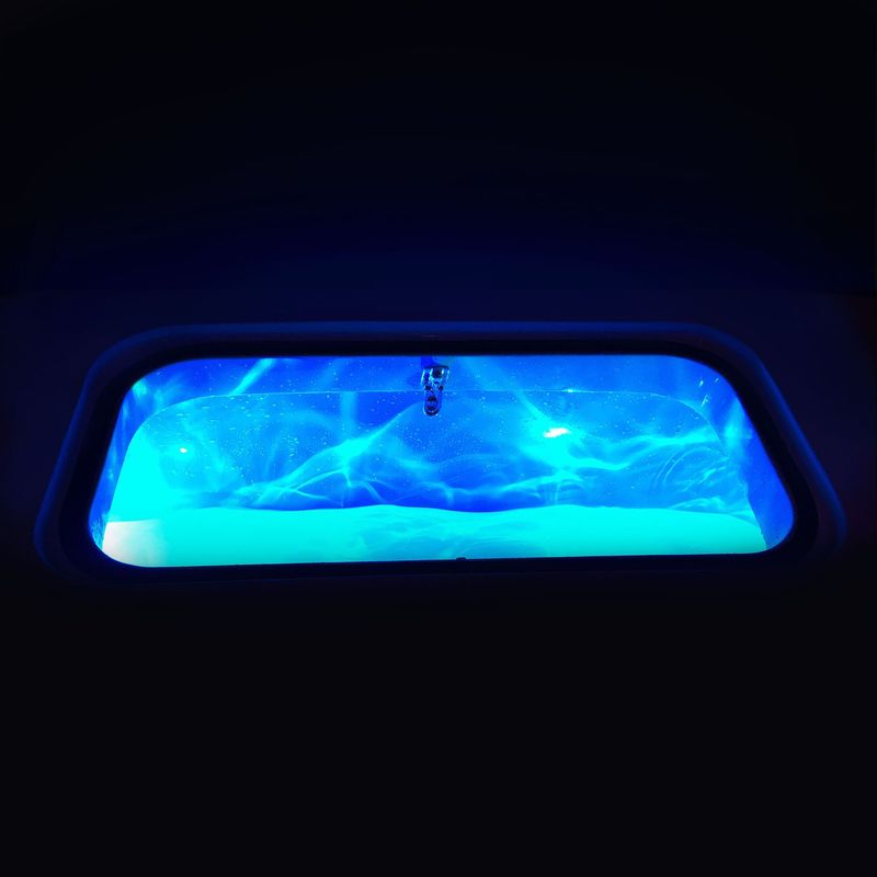 Vistank Lamp - Hella Marine Livewell Lamp - Blauw Licht