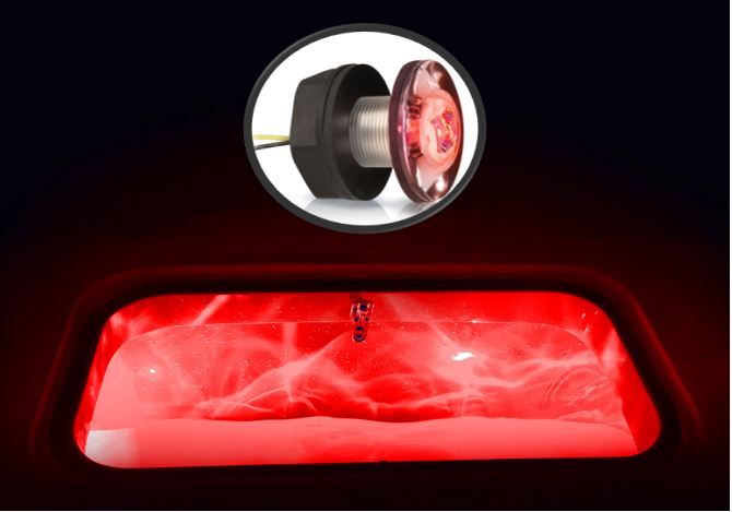 Vistank Lamp - Hella Marine Livewell Lamp - Rood Licht