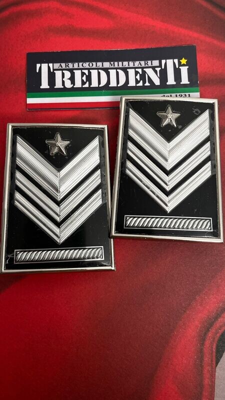 Gradi metallo Brigadiere Capo QS