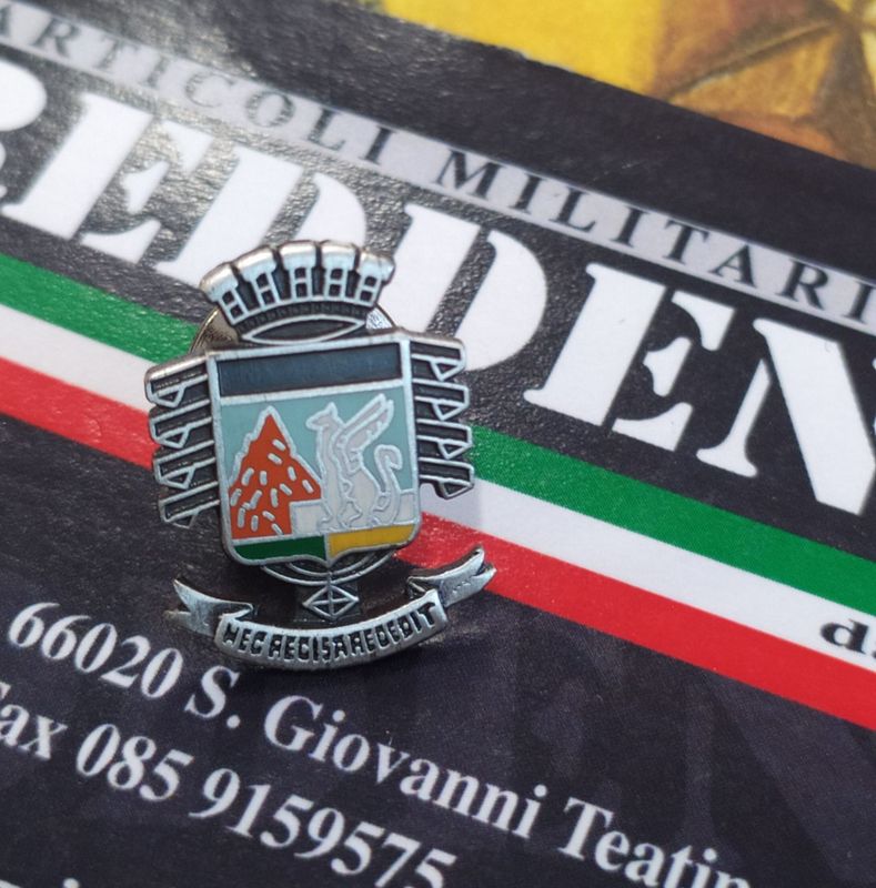 Pins Guardia di Finanza