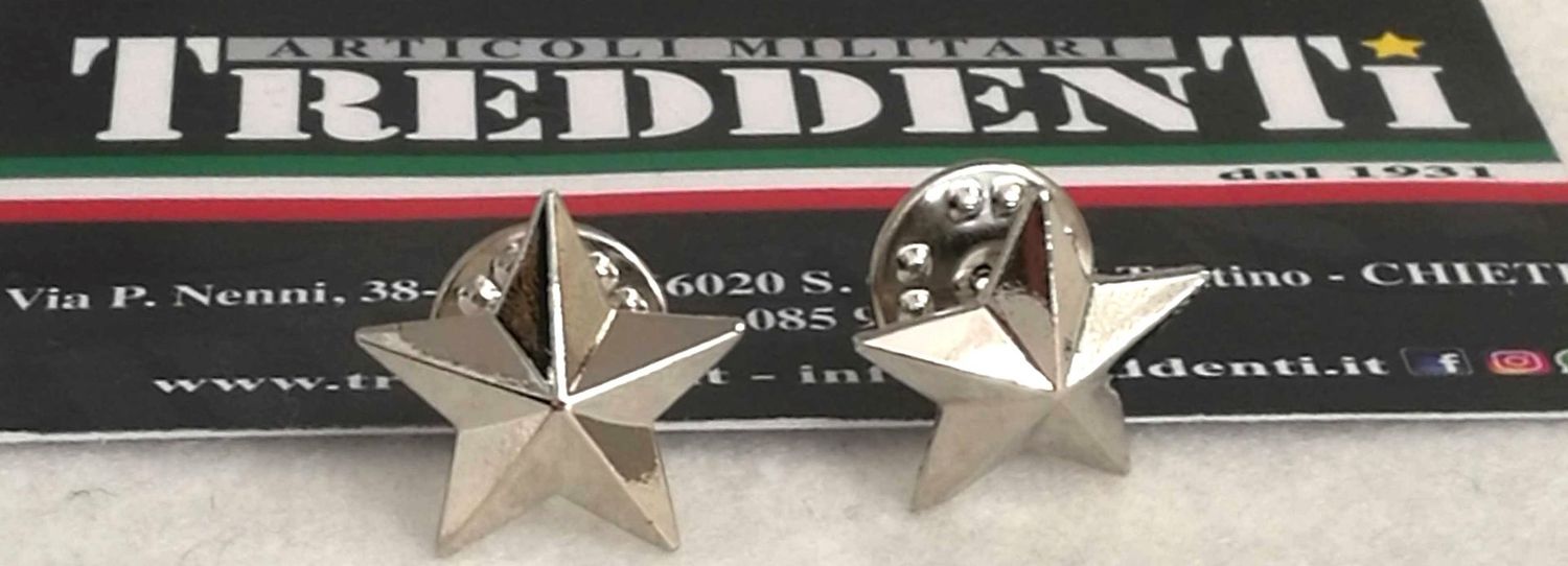 Coppia di stelle  in metallo liscio colore argento attacco con clips