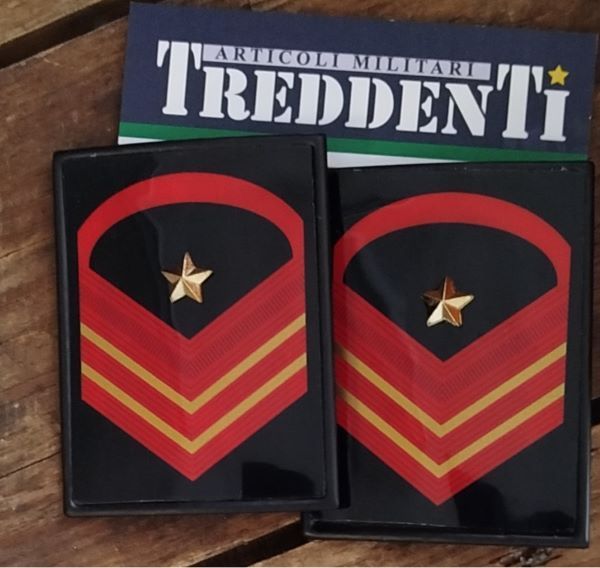 Paio di gradi in metallo per o Graduato Aiutante Esercito Italiano EI
