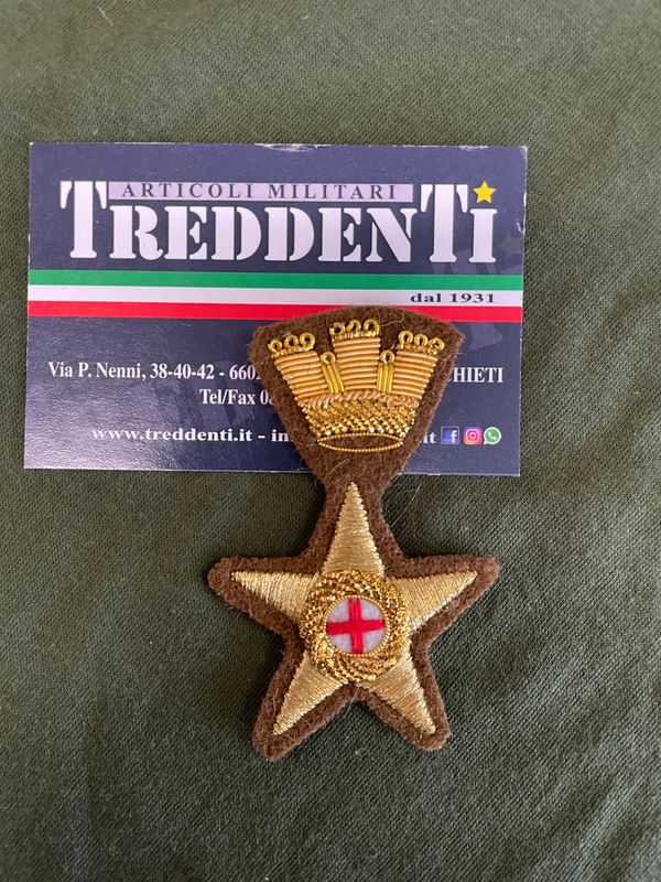 Fregio Ricamato per Tesa Esercito Sanità