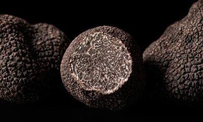 VERSE TRUFFEL