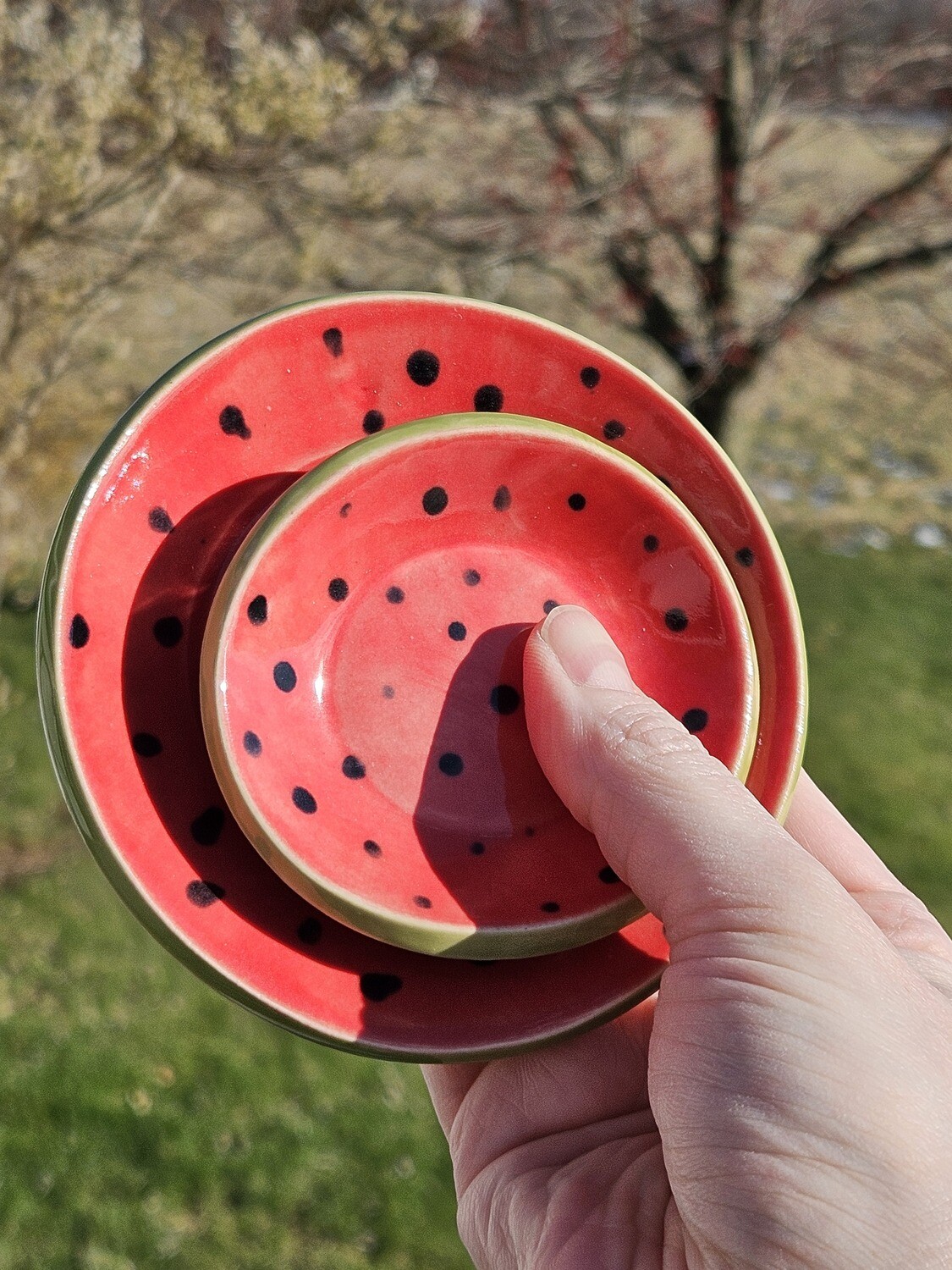 Watermelon Dish Set