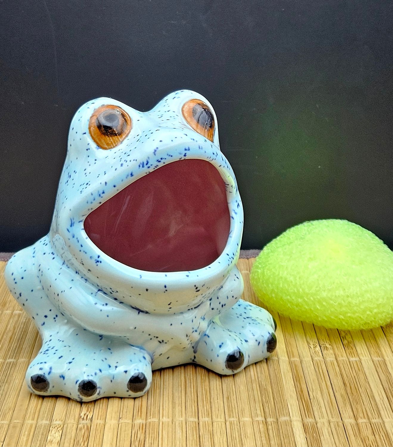 Frog Sponge Holder