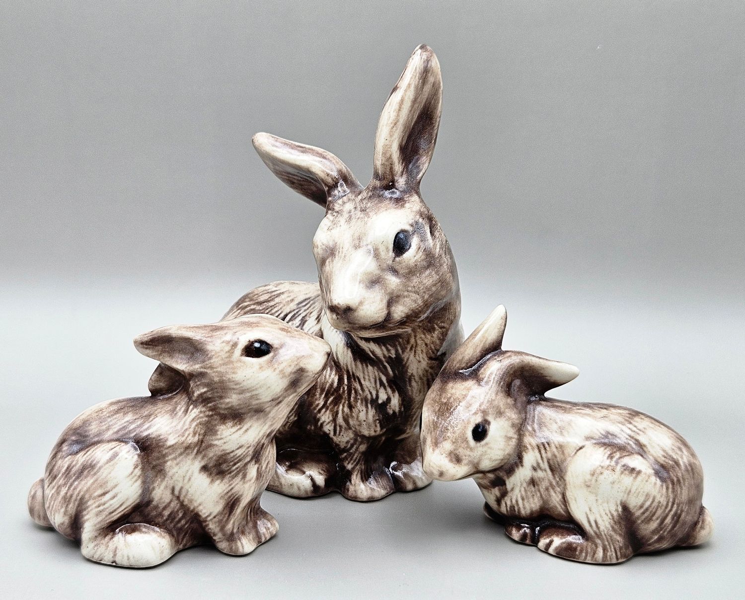 Bunny Family 🐇