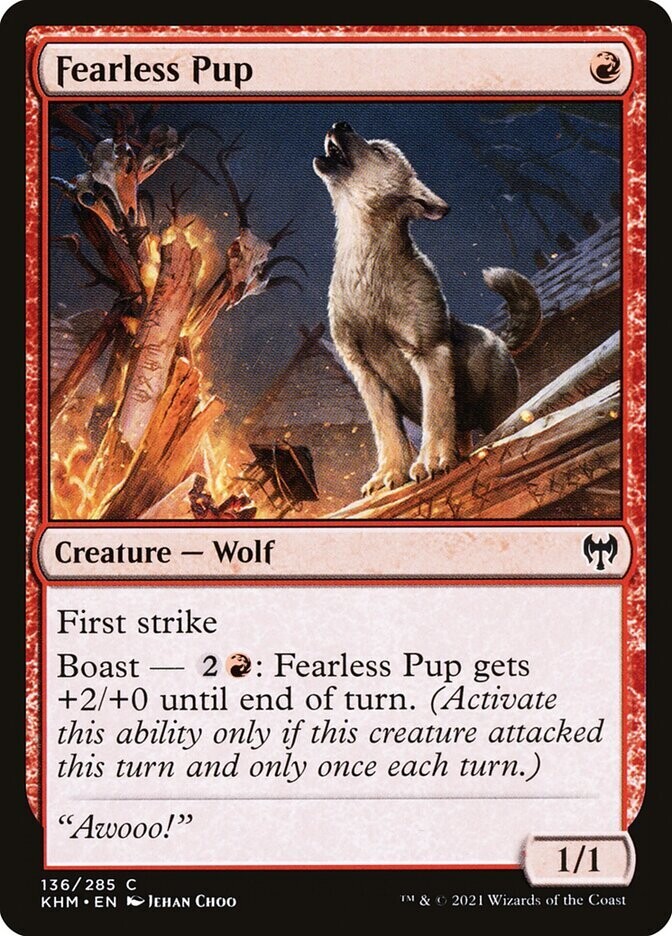 Fearless Pup Fearless Pup