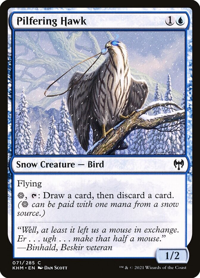 Pilfering Hawk Pilfering Hawk