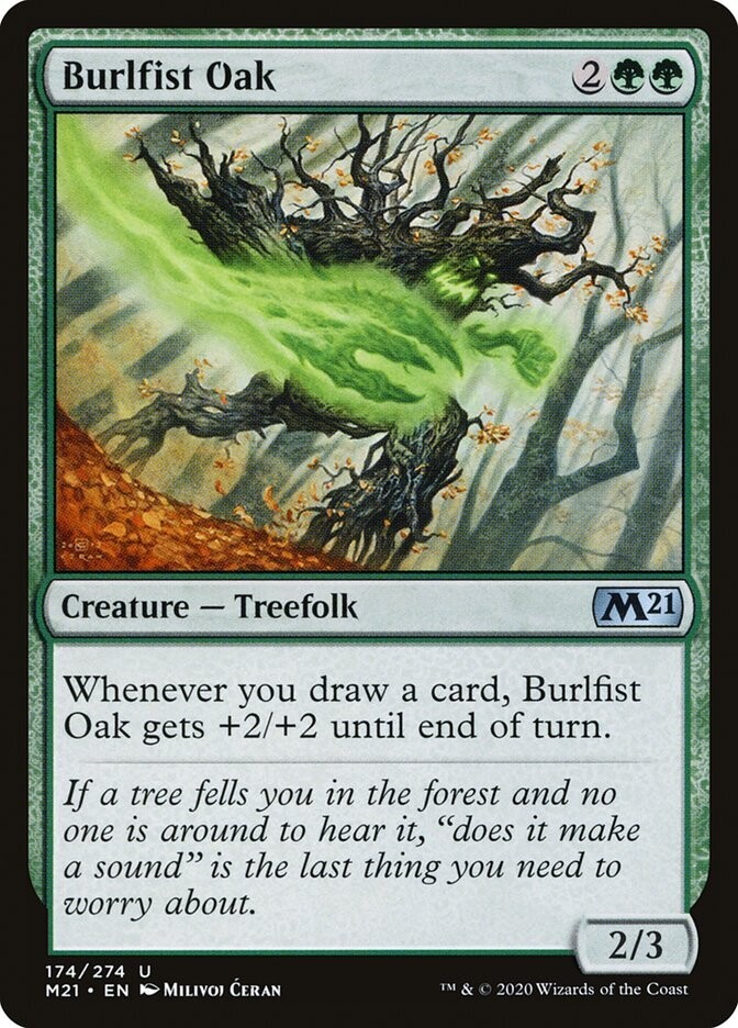 Burlfist Oak Burlfist Oak