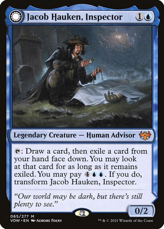 Jacob Hauken, Inspector // Hauken's Insight Jacob Hauken, Inspector // Hauken's Insight