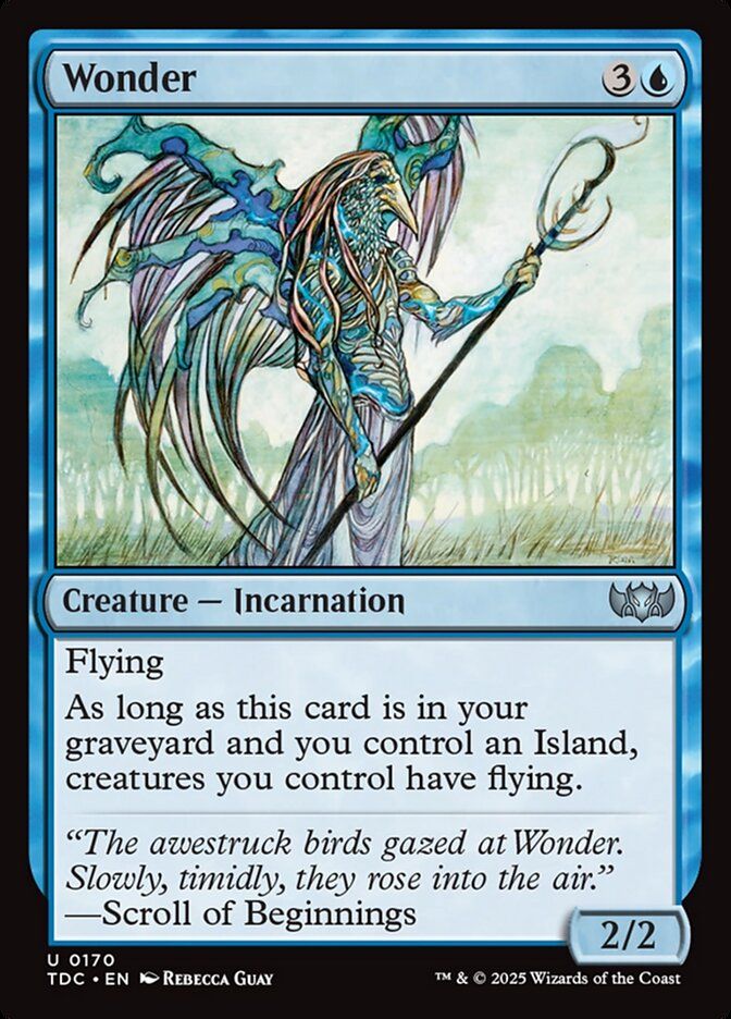 Wonder TDC_170