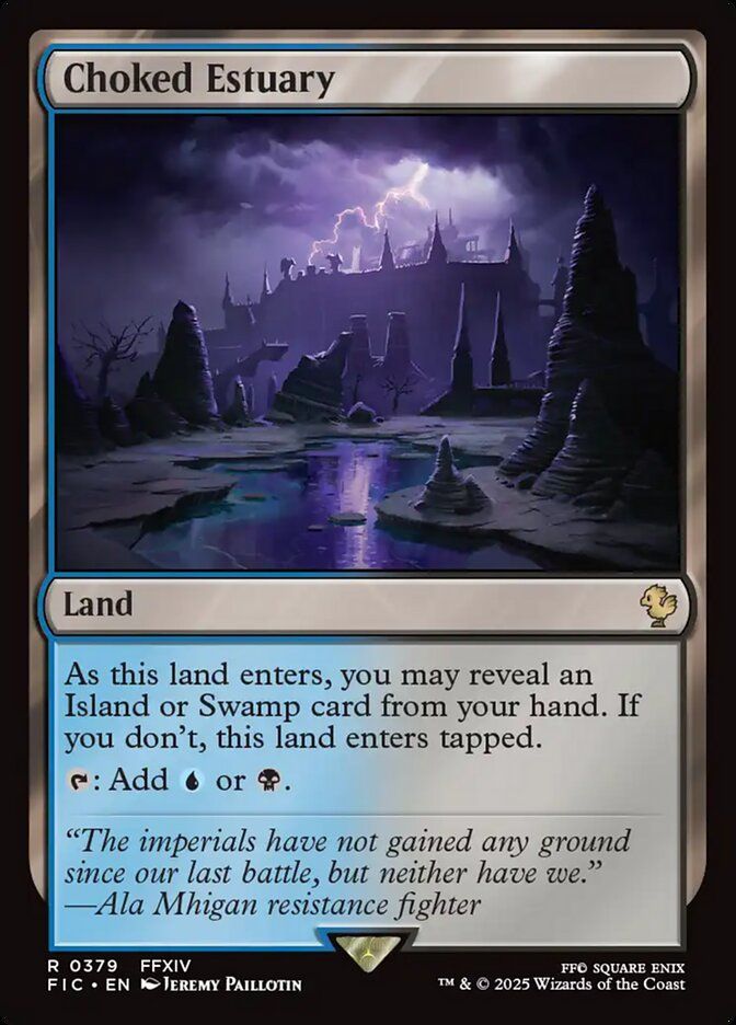 Choked Estuary FIC_379