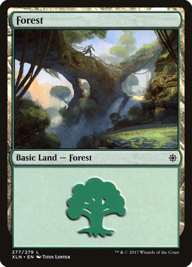 Forest XLN_277