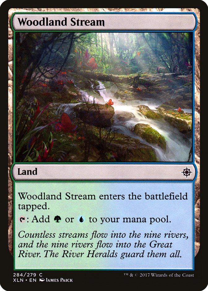 Woodland Stream XLN_284