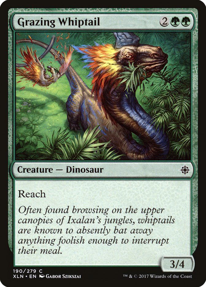 Grazing Whiptail XLN_190