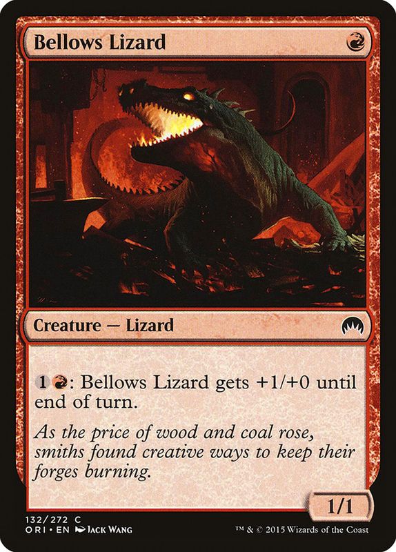 Bellows Lizard ORI_132