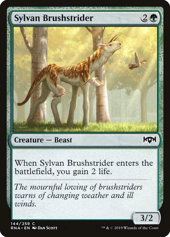 Sylvan Brushstrider RNA_144