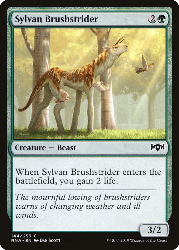 Sylvan Brushstrider RNA_144