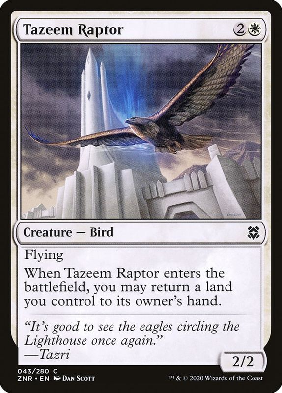 Tazeem Raptor ZNR_43 Tazeem Raptor ZNR_43