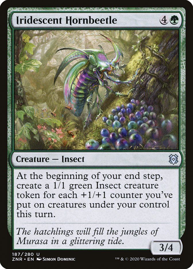 Iridescent Hornbeetle ZNR_187