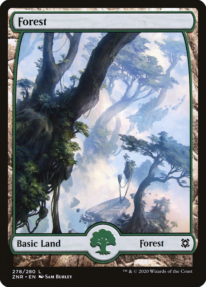 Forest ZNR_278