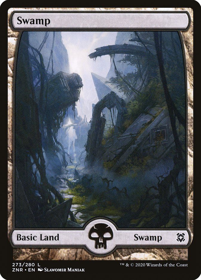 Swamp ZNR_273