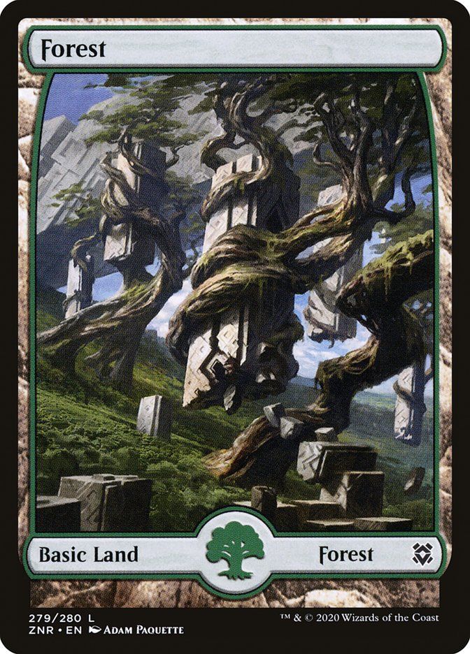 Forest ZNR_279