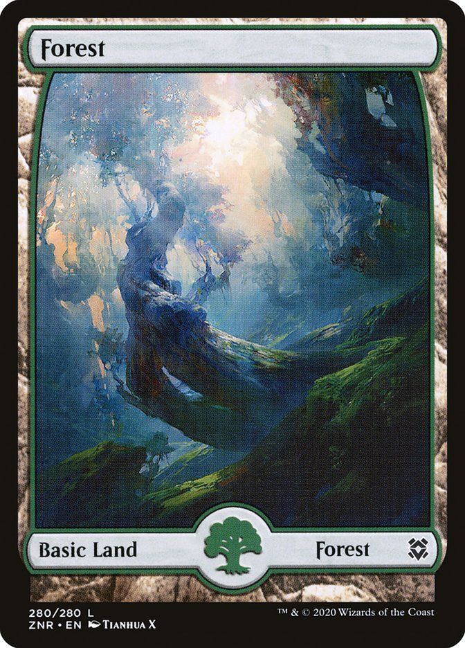 Forest ZNR_280