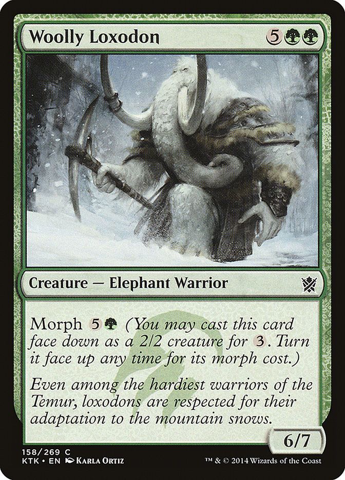 Woolly Loxodon KTK_158