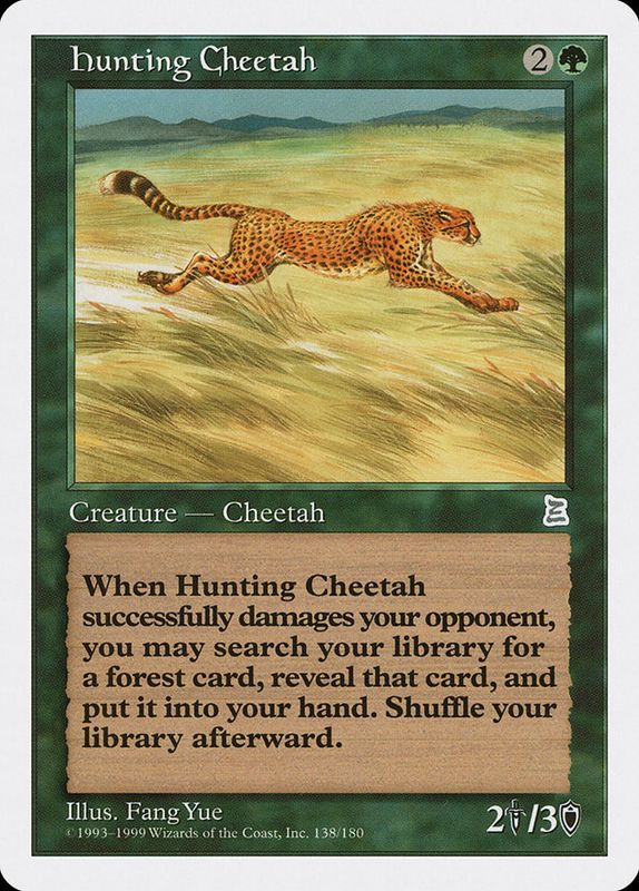 Hunting Cheetah PTK_138