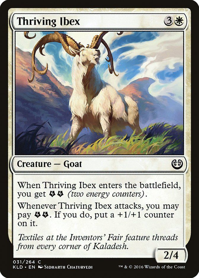 Thriving Ibex KLD_31