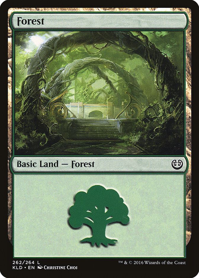 Forest KLD_262