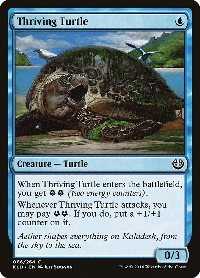 Thriving Turtle KLD_66