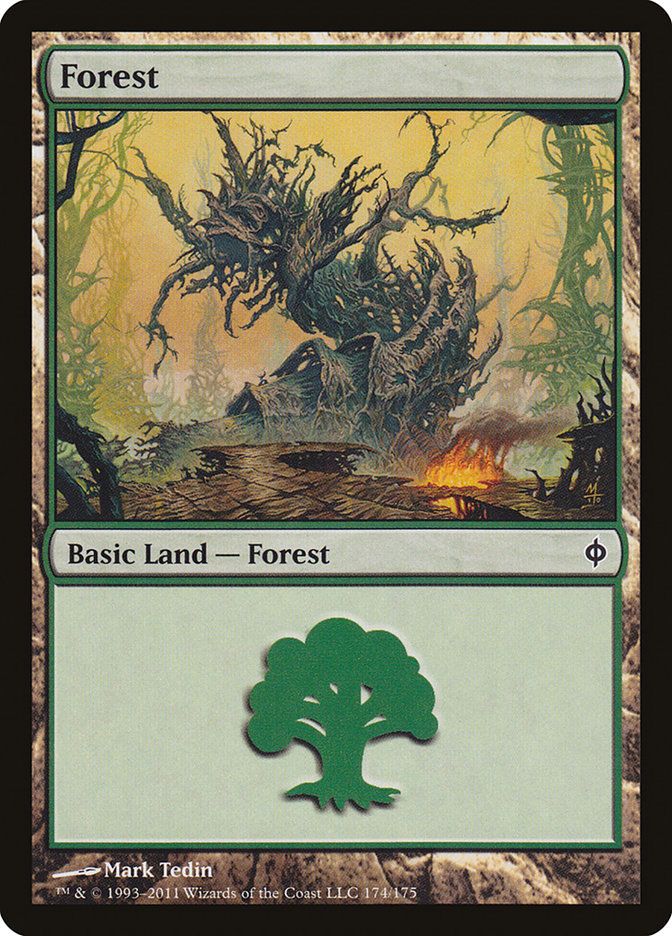 Forest NPH_174