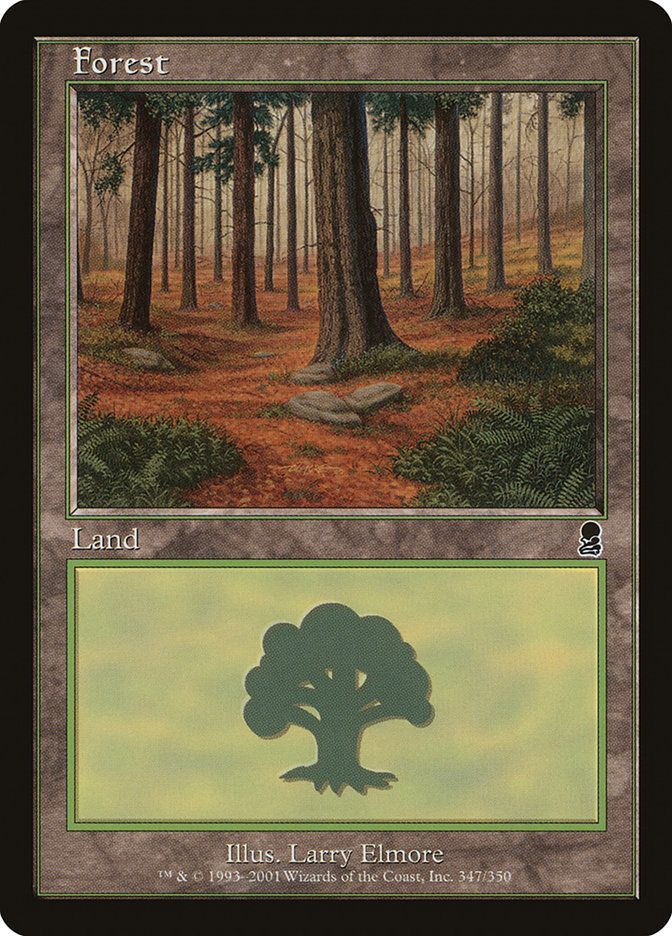Forest ODY_347