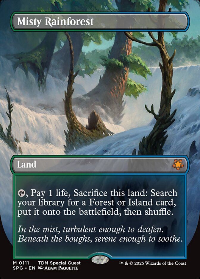 Misty Rainforest SPG_111