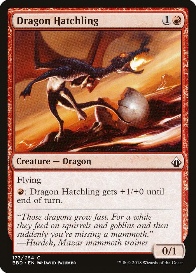 Dragon Hatchling BBD_173