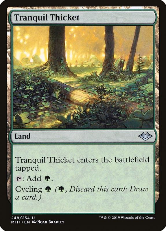 Tranquil Thicket MH1_248