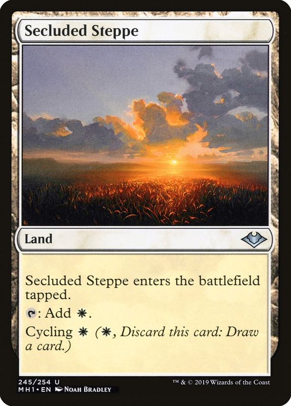 Secluded Steppe MH1_245