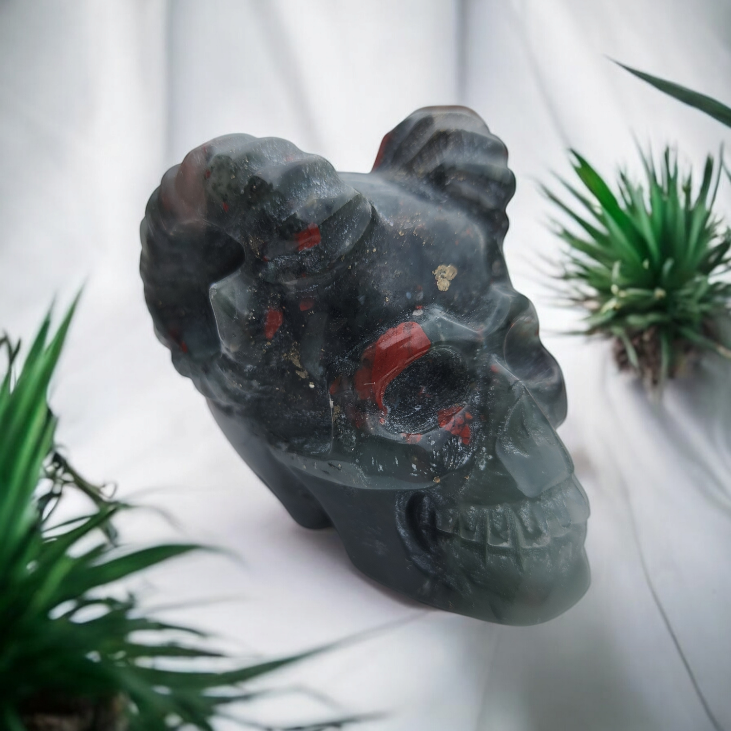 African Bloodstone Horned Skull